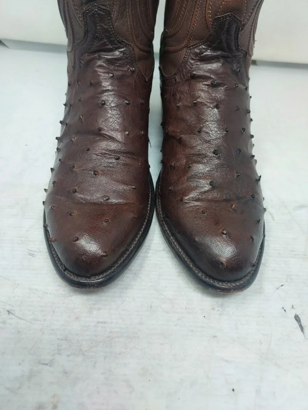 Tecovas MENS The Wyatt Brown Ostrich Cowboy Boot